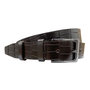 Belt Women - Belt Men 3 cm Dark Brown Leather with Print